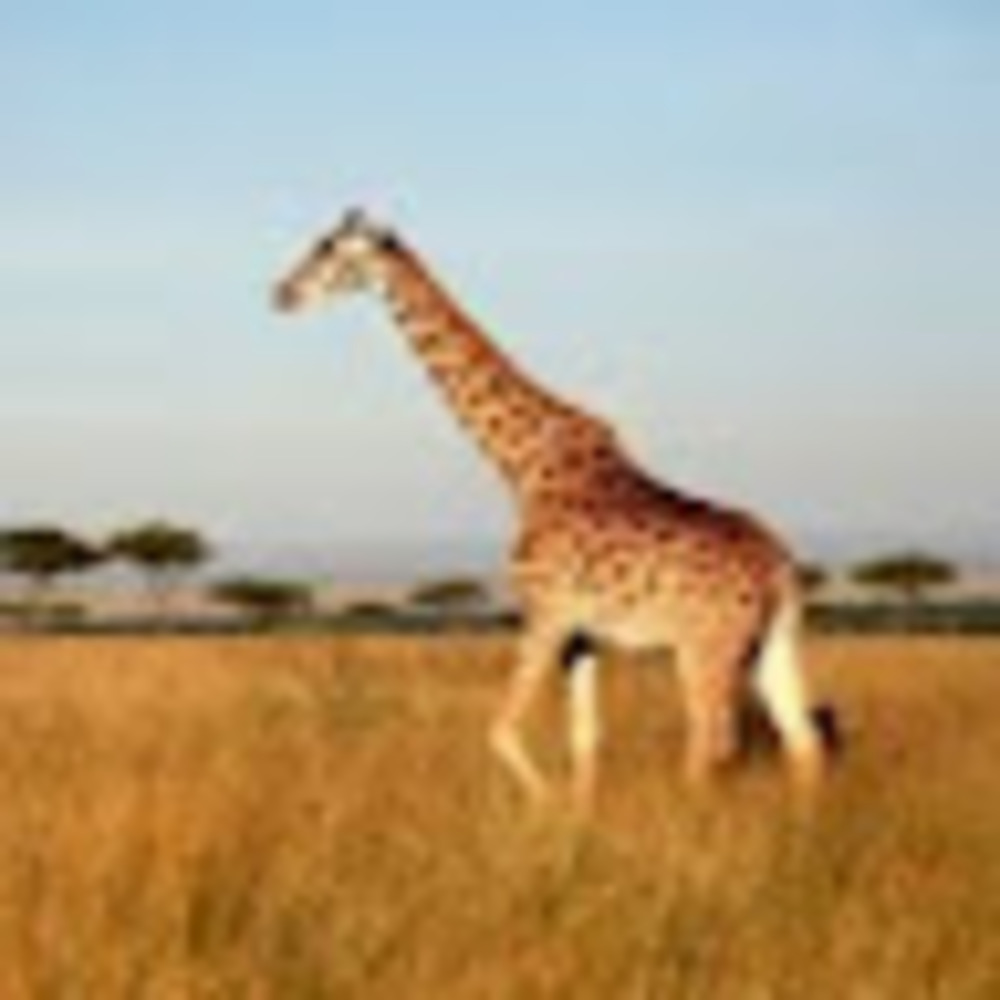 Meet your Posher, Sabrina